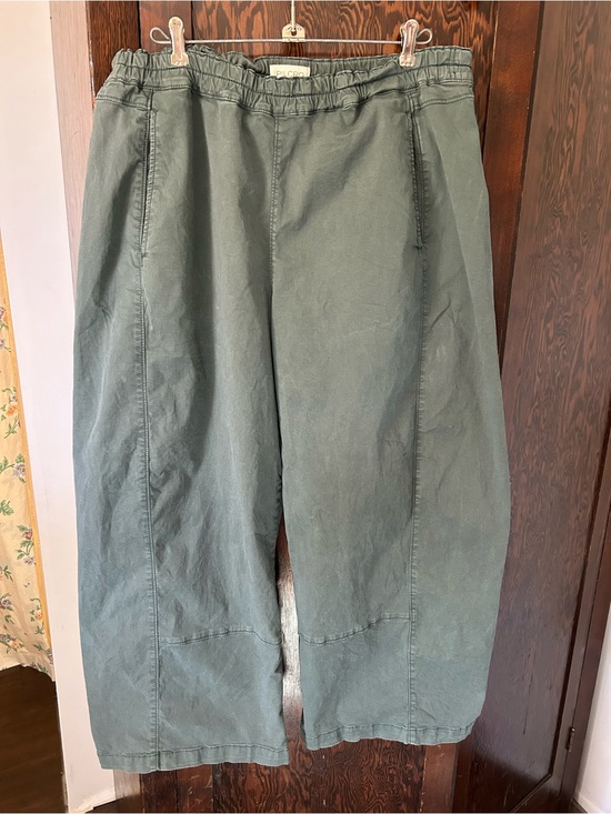 Pilcro Pants - Pilcro Izzie Barrel Pants
